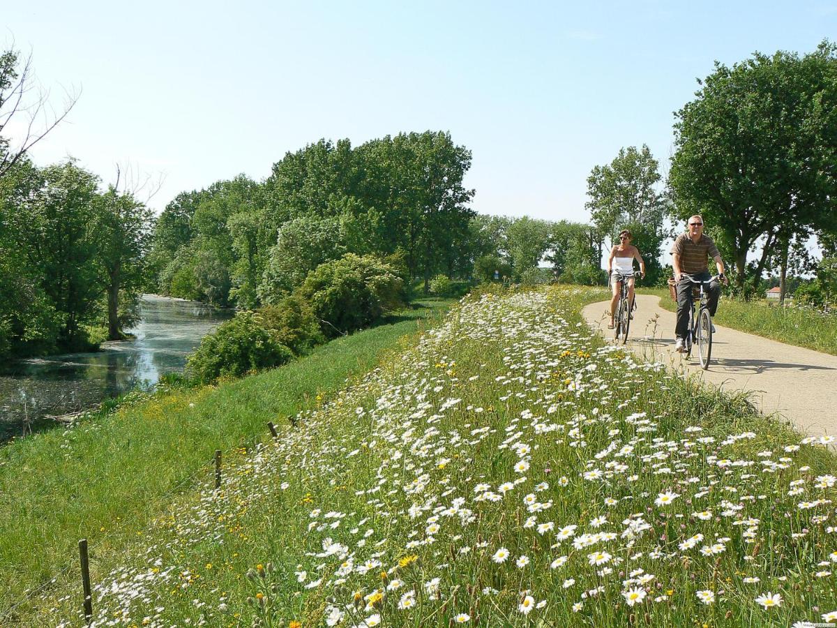 Camping De Binnenvaart Superior Chalet Aan de Wolfsberg Экстерьер фото